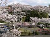 菊池公園.jpg