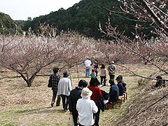 P14864M.jpg