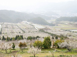 P410004.jpg